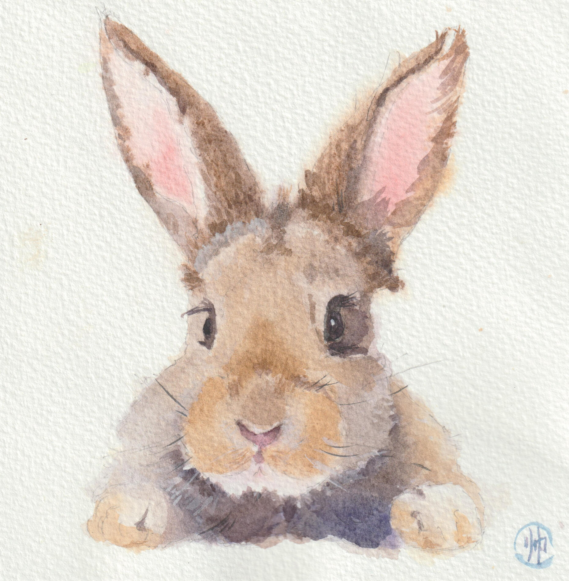 Watercolor Bunny Painting – Fur, Whiskers & Watercolor Class A watercolor painting of a brown bunny with big ears, painted in Sherry’s beginner-friendly animal watercolor class