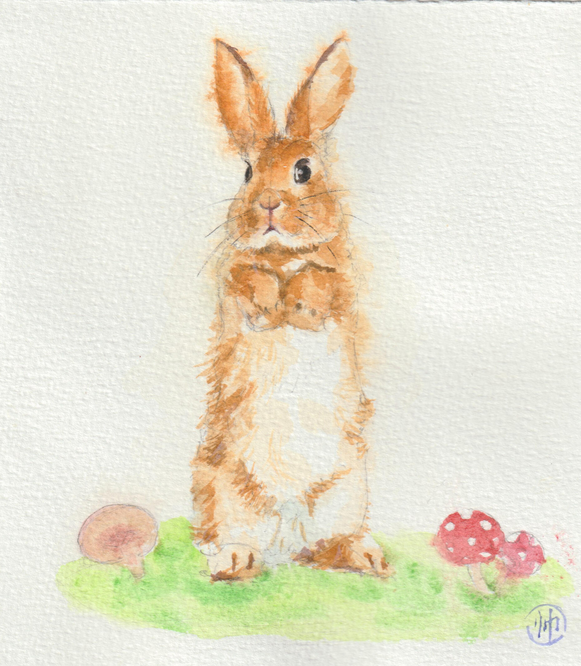 Standing Bunny Watercolor – Beginner Pet Portrait from Class Watercolor painting of a standing bunny with expressive eyes and soft fur, created in a beginner-friendly pet portrait class. Great example of learning animal forms and fur textures.